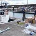 高雄港區新聞網／跨機關合作展現成果！海巡、海關聯手破獲烏石港遊艇走私加熱菸