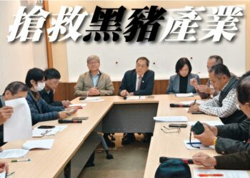 禁廚餘養豬衝擊黑豬產業　蘇清泉籲政策轉彎保住台灣精品豬