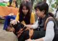 從街角到收容園區 顏杏娟與台灣愛狗人協會：一場持續十六年的流浪動物守護行動
