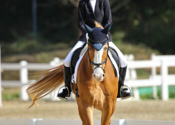 影音/馬術小將高襄喬克服萬難挑戰全中運 與馬共舞榮獲亞軍