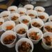 高雄港區新聞網／從織田信長到高雄！移民署推茶泡飯文化體驗　新住民感受戰國能量
