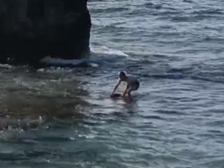 圖/海巡署