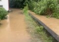 旗山雨彈狂炸 溪洲沒淹水「破功」