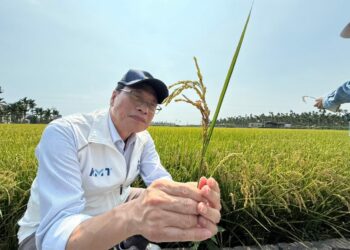 豪雨致農損破4千萬元 蘇清泉為屏東農民請命:提高災損補助、別讓農民獨自承擔