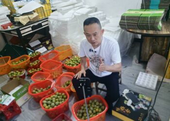少點口水多做事！ 台媒體人攜手農業專家深耕貴州