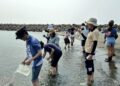 海水留下的生命密碼 eDNA帶你看見看不見的海洋
