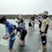 海水留下的生命密碼 eDNA帶你看見看不見的海洋