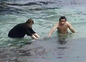 高雄港區新聞網／小琉球又傳遊客摸海龜！海巡火速追查逮2人送辦　最高可罰30萬元