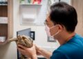 異寵飼養邁入新時代　法規納管之外醫療資源成最大挑戰