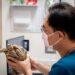 異寵飼養邁入新時代　法規納管之外醫療資源成最大挑戰