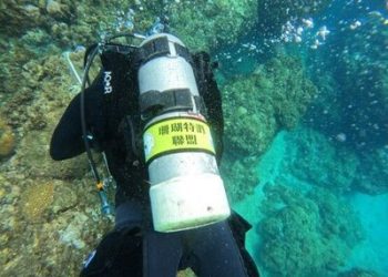 從墾丁到綠島　海保署推動珊瑚特潛聯盟串起海洋保育地圖